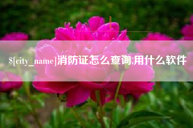 垦利消防证怎么查询,用什么软件