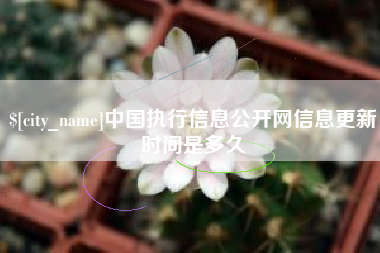 垦利中国执行信息公开网信息更新时间是多久