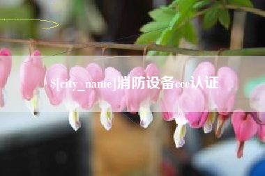 垦利消防设备ccc认证