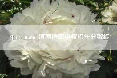 垦利河南消防学校招生分数线