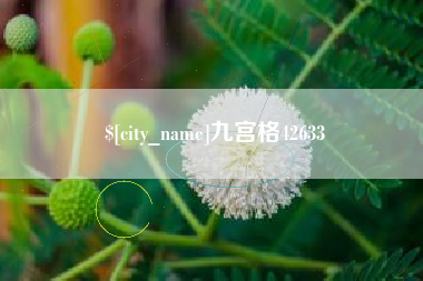 垦利九宫格42633
