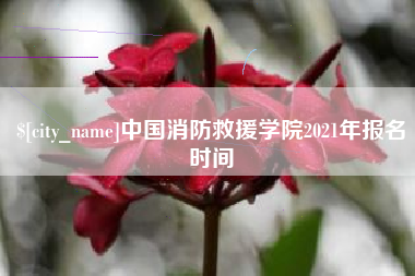 垦利中国消防救援学院2021年报名时间