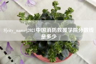 垦利2021中国消防救援学院分数线是多少