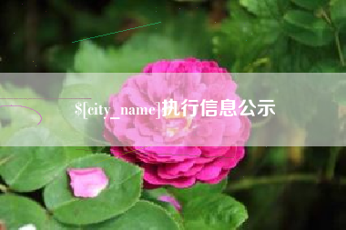 垦利执行信息公示