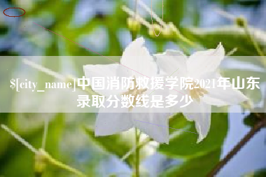垦利中国消防救援学院2021年山东录取分数线是多少