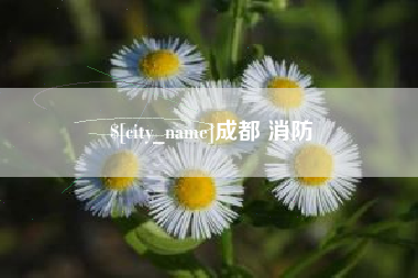 垦利成都 消防