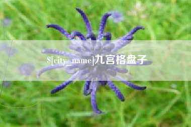 垦利九宫格盘子