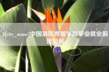 垦利中国消防救援学院毕业就业前景如何