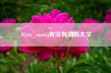 垦利有没有消防大学