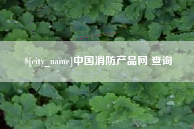 垦利中国消防产品网 查询