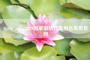 垦利2020国家消防救援报名系统官网