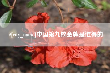垦利中国第九枚金牌是谁得的