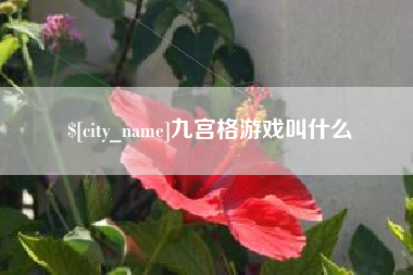 垦利九宫格游戏叫什么