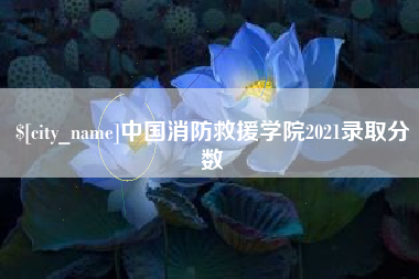 垦利中国消防救援学院2021录取分数