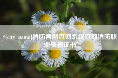 垦利消防官网查询系统查询消防职业资格证书