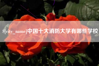 垦利中国十大消防大学有哪些学校