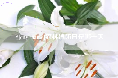 垦利森林消防日是哪一天