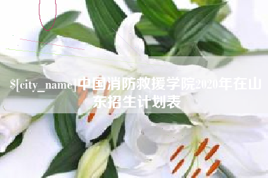 垦利中国消防救援学院2020年在山东招生计划表