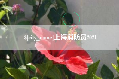 垦利上海消防员2021