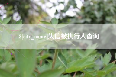 垦利失信被执行人杳询