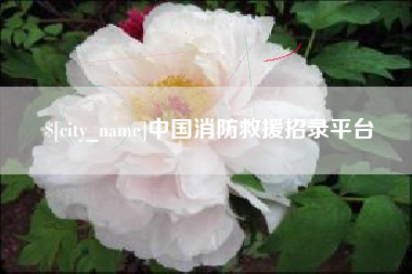 垦利中国消防救援招录平台