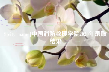 垦利中国消防救援学院2020年录取结果