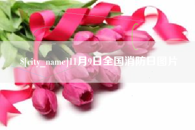 垦利11月9日全国消防日图片