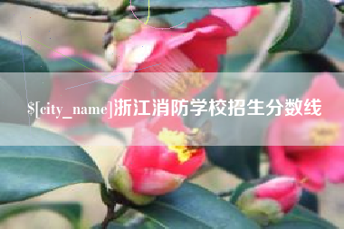 垦利浙江消防学校招生分数线