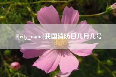 垦利我国消防日几月几号