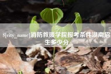 垦利消防救援学院报考条件湖南招生多少分