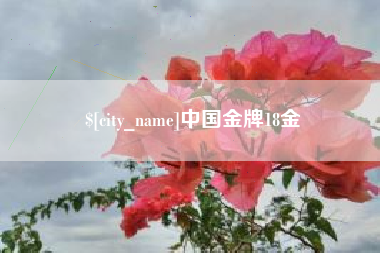 垦利中国金牌18金