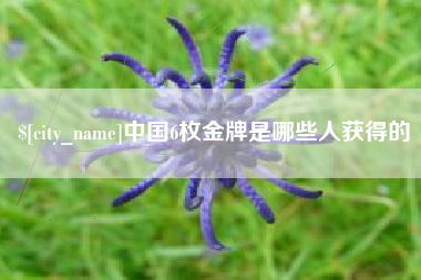 垦利中国6枚金牌是哪些人获得的