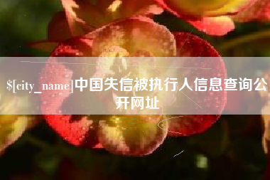 垦利中国失信被执行人信息查询公开网址