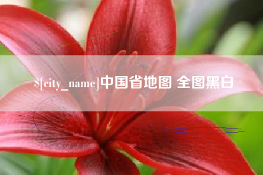 垦利中国省地图 全图黑白