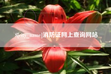 垦利消防证网上查询网站