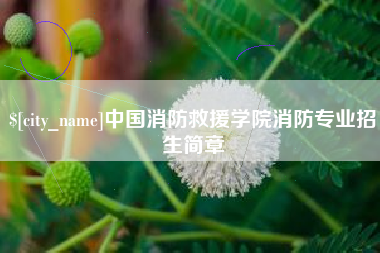 垦利中国消防救援学院消防专业招生简章
