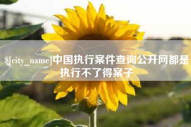 垦利中国执行案件查询公开网都是执行不了得案子