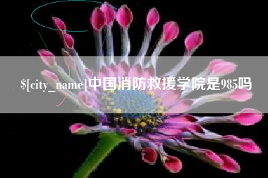 垦利中国消防救援学院是985吗
