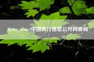垦利中国执行信息公开网查询