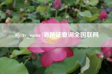 垦利消防证查询全国联网
