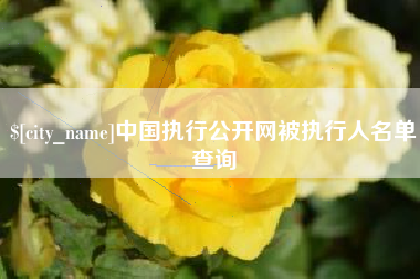 垦利中国执行公开网被执行人名单查询