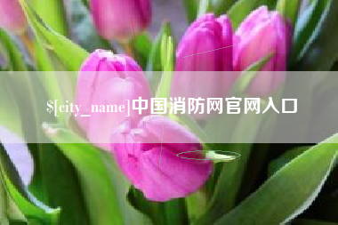 垦利中国消防网官网入口