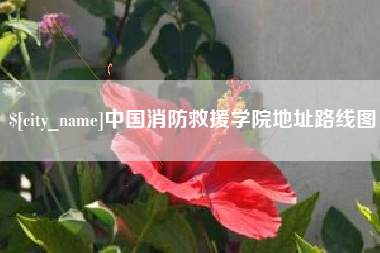 垦利中国消防救援学院地址路线图