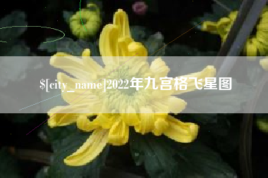 垦利2022年九宫格飞星图