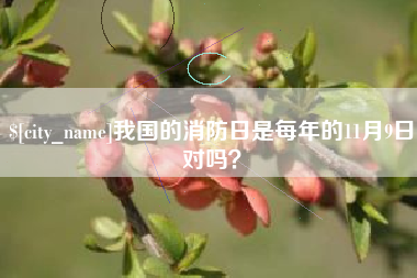 垦利我国的消防日是每年的11月9日对吗？