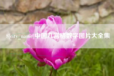 垦利中国九宫格数字图片大全集