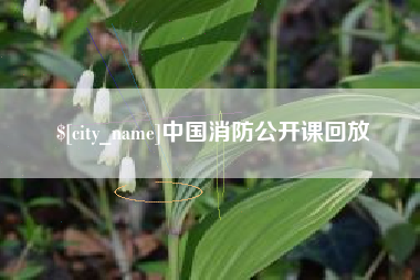 垦利中国消防公开课回放
