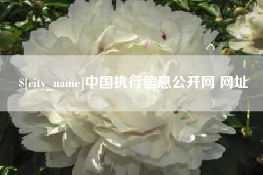 垦利中国执行信息公开网 网址
