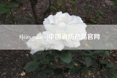 垦利中国消防产品官网