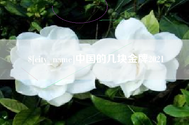 垦利中国的几块金牌2021